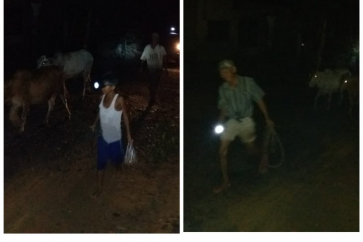 Satu desa dan satu kelurahan di Kecamatan Sei Lepan Langkat tergenang banjir setinggi satu meter