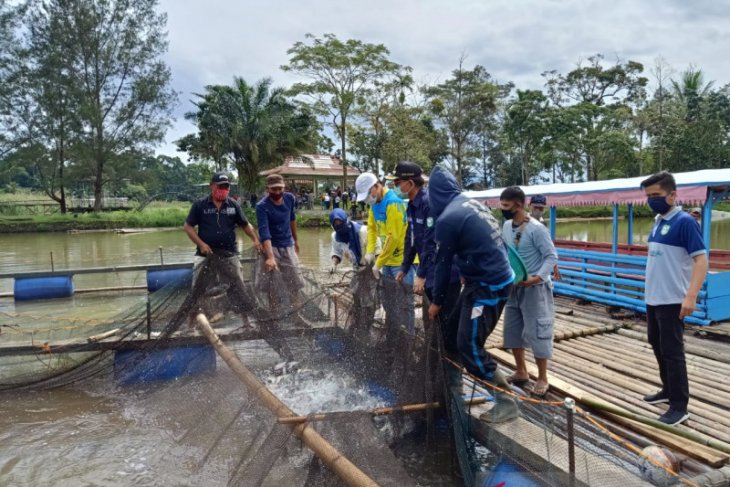 Gubernur borong 12 ton hasil pertanian warga Bengkulu