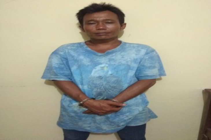 Aniaya teman karena menasihati, Man Tato warga Desa Pantai Gading ditangkap Polisi Secanggang Langkat