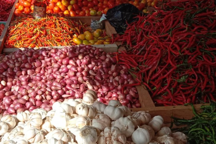 Harga cabai merah di pasar tradisional Ambon anjlok