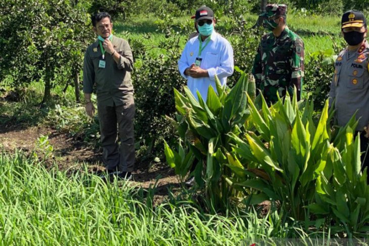 Hari Pangan Sedunia dan ujian kemandirian di tengah pandemi COVID-19