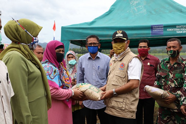 Bupati semai benih perdana musim tanam gadu 2020