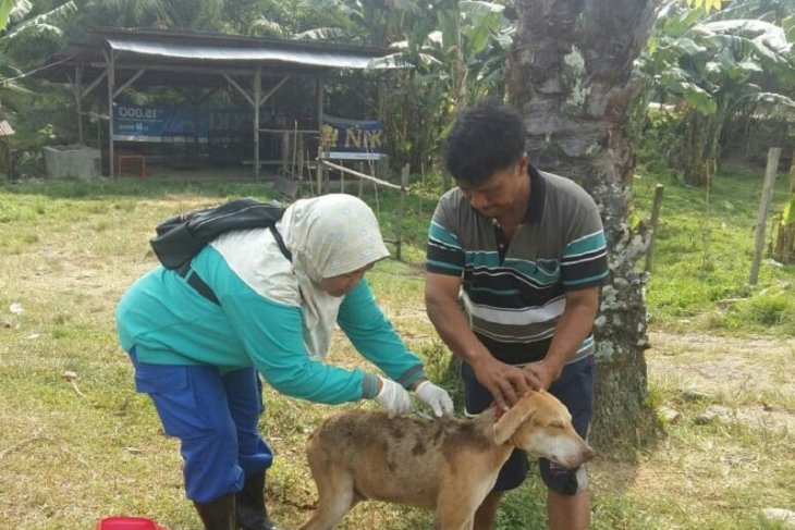 Distan nilai vaksinasi hewan penular rabies di Mukomuko belum efektif