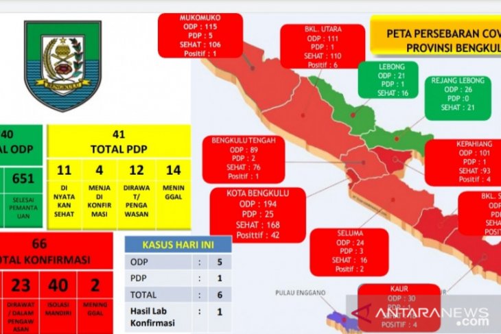 Kembali bertambah, kasus positif COVID-19 di Bengkulu jadi 66 orang