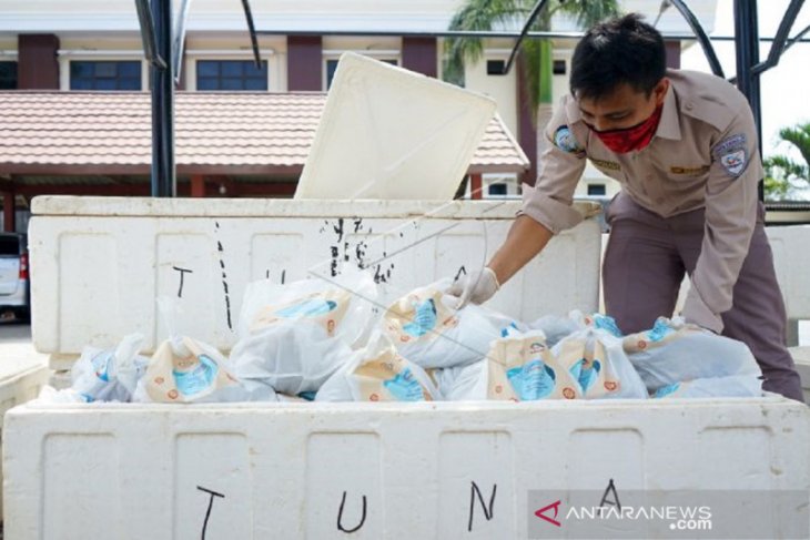 Foto - Bantuan ikan segar ke warga Gorontalo terdampak COVID-19