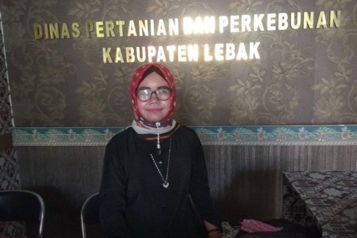 Distabun apresiasi petani Curugbitung, Lebak kembangkan tanaman sayuran