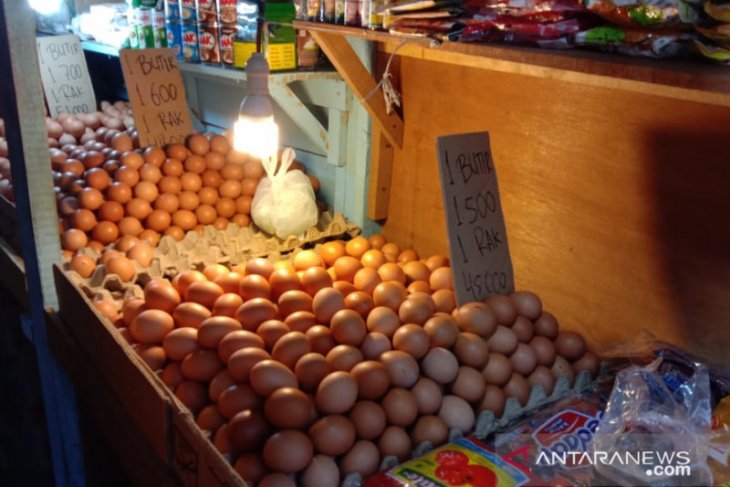 Harga telur ayam ras  di pasar Ambon  normal ANTARA News 