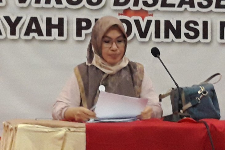 Gustu Pasien sembuh COVID-19 di Malut bertambah empat orang