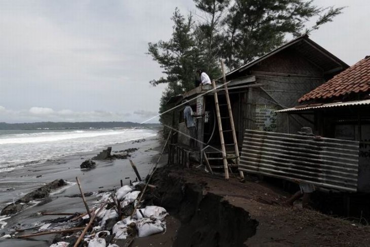 Rob di pesisir selatan Jawa Tengah