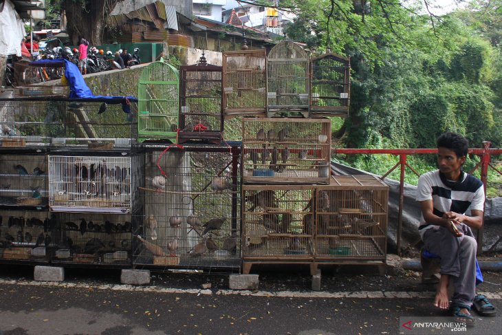 Pasar burung jadi wisata alternatif