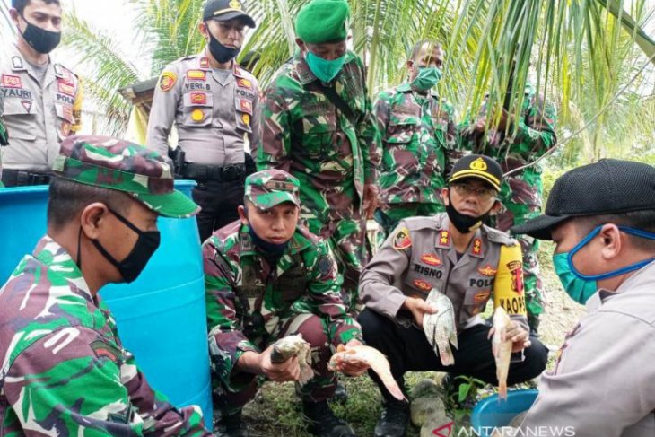 Polres Nagan Raya budidaya ikan tawar untuk ketahanan pangan