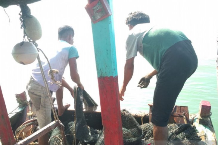 Pemkab Mukomuko imbau nelayan waspadai gelombang tinggi