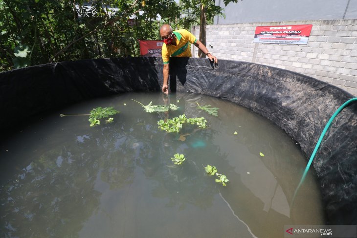 Ketahanan Pangan Era Normal Baru