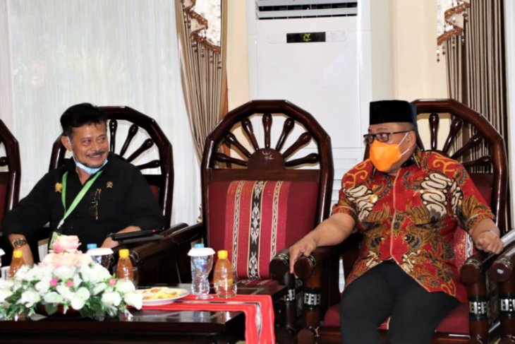 Mentan Perlu ekstenfisikasi pertanian di Pulau Seram
