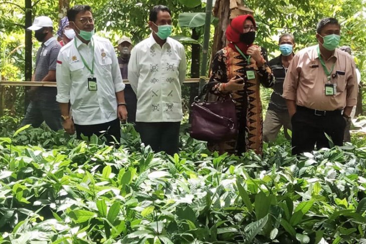 Mentan minta Provinsi Maluku bangun gudang beras sendiri
