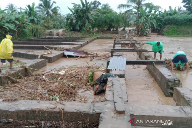 Banjir pengaruhi produksi ikan di Rejang Lebong