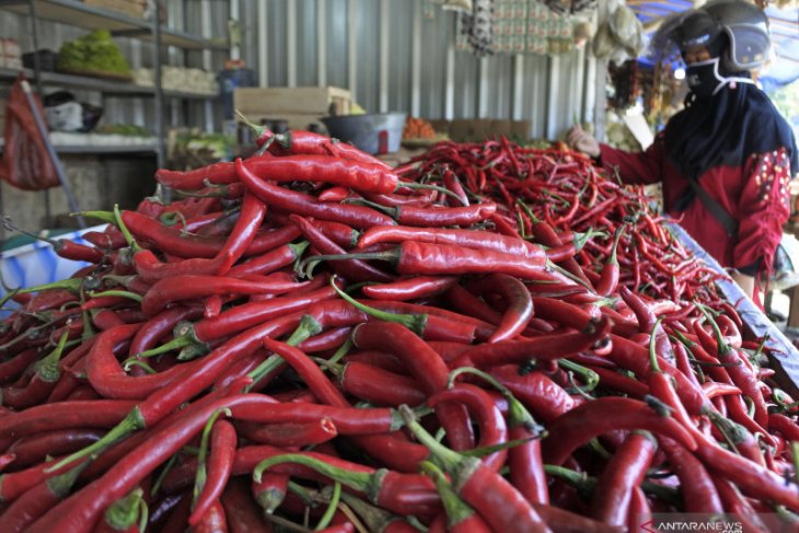 Harga cabai merah di pasar Medan anjlok