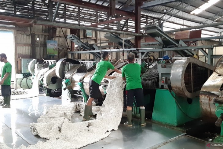 Neraca perdagangan Kalimantan Barat April 2020 surplus 69,06 juta dolar AS