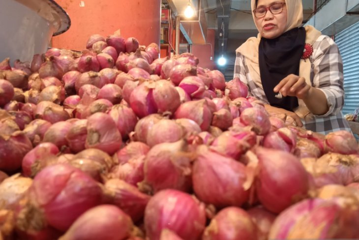 Harga bawang merah di Bengkulu Rp60 ribu per kilo
