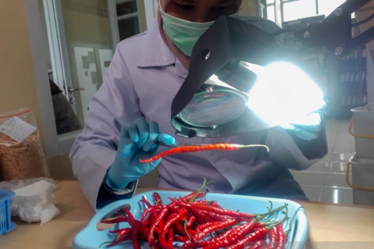 Jelang normal baru, permohonan sertifikasi melalui Karantina Cilegon meningkat