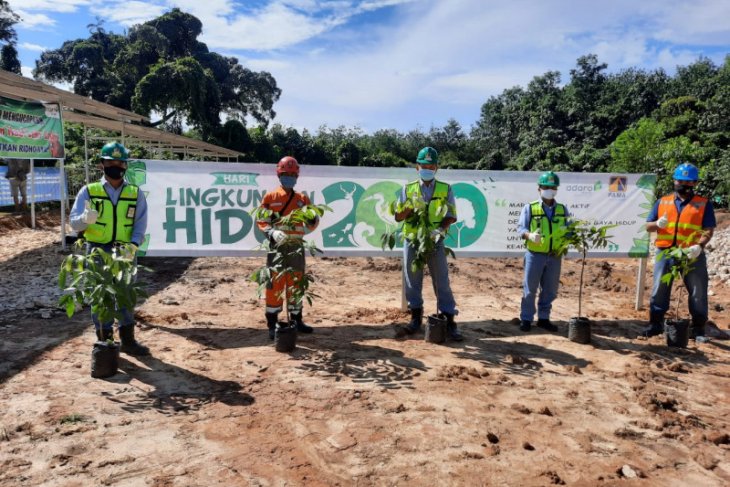 PT Pama plants trees on World Environment Day