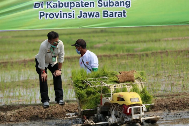 Mentan Syahrul Yasin minta seluruh dirjen turun ke lapangan pada musim tanam kedua