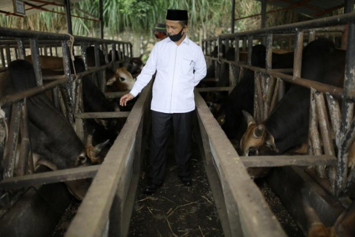 Banyak kritik dan saran dari warga, Kadisnak Aceh ucapkan terima kasih