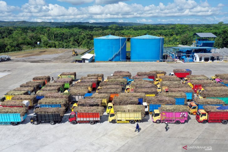 Upaya Pemenuhan Produksi Gula Nasional