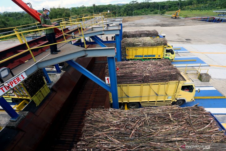 Upaya Pemenuhan Produksi Gula Nasional