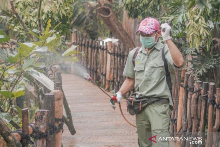 Royal Safari Garden Bogor siapkan konsep