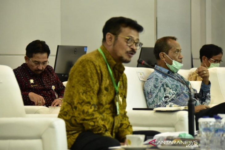 Menteri Pertanian paparkan strategi ketersediaan pangan saat normal baru