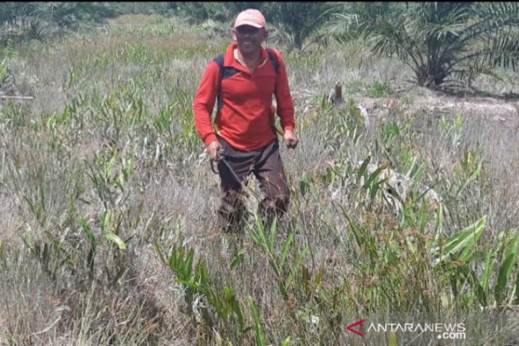 Iskandar, politisi yang hobi berkebun