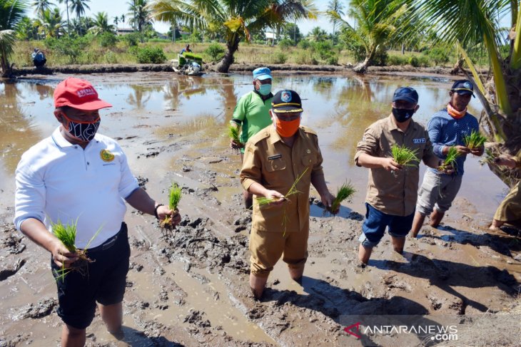 Bupati Muda ajak masyarakat perkuat sektor pangan saat pandemi