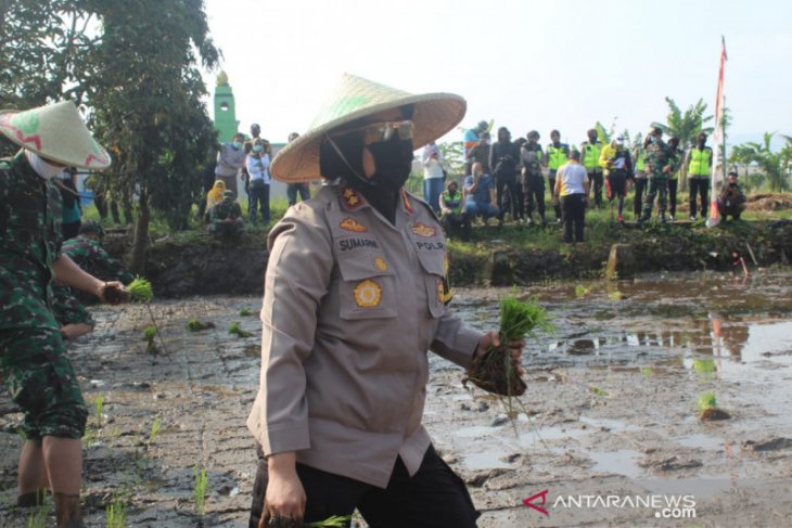 Aksi budidaya digagas Polres Sukabumi bantu tingkatkan ketahanan pangan
