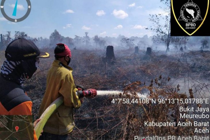 Kebakaran lahan di Aceh Barat masih sulit dipadamkan