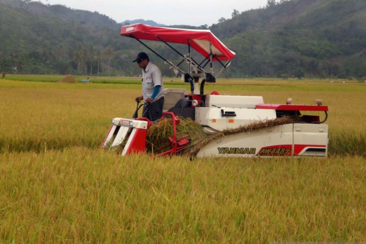 Produksi Beras di Kalbar hingga Juni 2020 surplus mencapai 107.106 ton