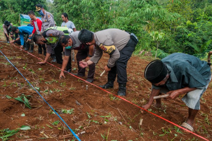 Polsek Pandeglang ajak warga tanam singkong dukung ketahanan pangan