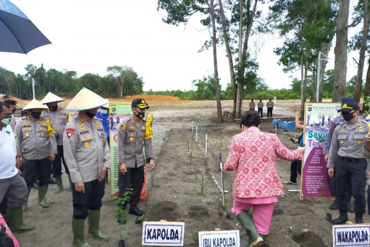 Kapolda Babel dorong masyarakat giat tanam tanaman pangan