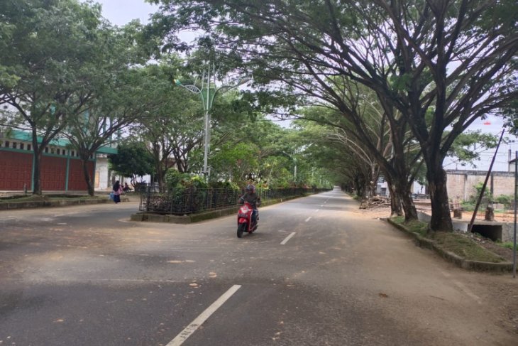 Warga dilarang tebang pohon diruas jalan kantor bupati Abdya