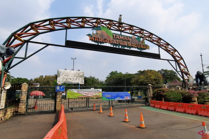 Sabtu ini Ragunan Jakatarta dibuka perdana mulai pukul 08.00 WIB