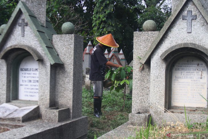 Kebun Kopi di Pemakaman