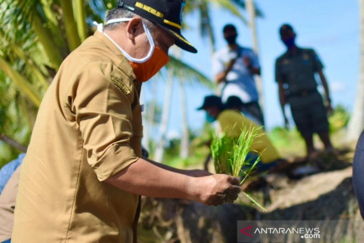 38.000 hektare lahan pertanian di Kubu Raya masuk program LP2B