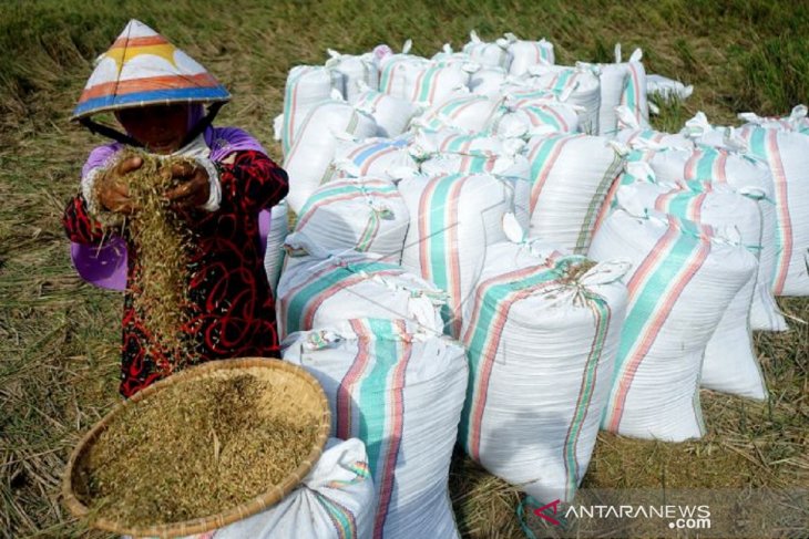 Foto - Pemkab Bone Bolango dorong ketahanan pangan meski pandemi