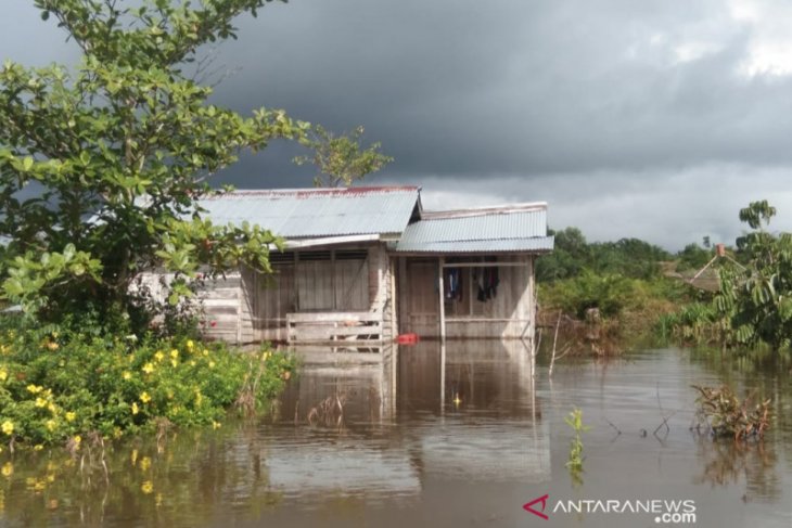 4.825 korban banjir di Kabupaten Sambas dapat bantuan beras dari pemprov