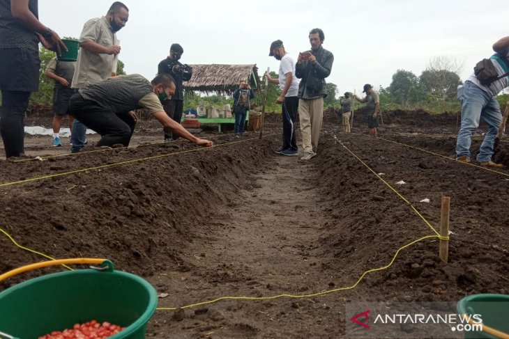 Jaga ketahanan pangan, Korem 045 Gaya galakkan aktivitas menanam sayuran