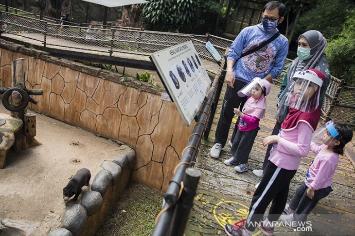 Kebun Binatang Bandung dibuka kembali 