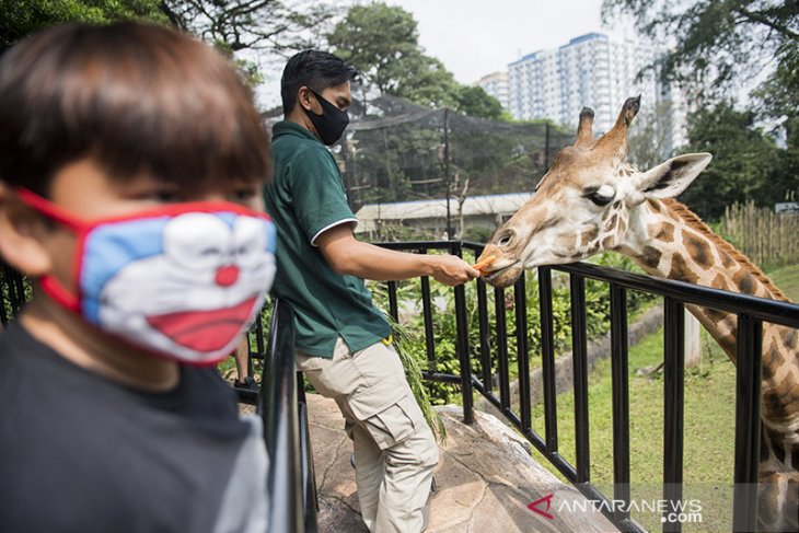 Kebun Binatang Bandung dibuka kembali 