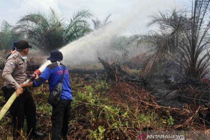Hingga Juni 2020, Seluas 23,7 HA di Nagan Raya terbakar akibat Karhutla