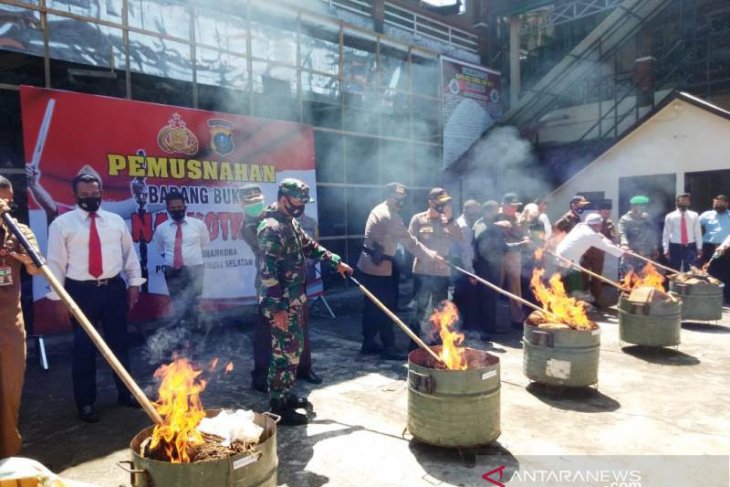 Kapolres Tapsel pimpin pemusnahan ganja 245 kg lebih
