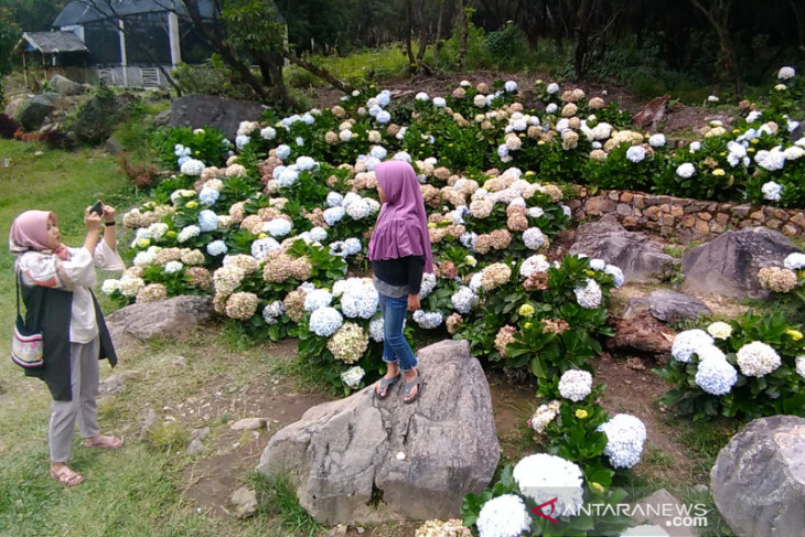Wisatawan lokal dominasi kunjungan ke objek wisata Garut di masa normal baru